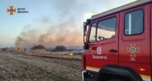 У березні на Волині вже сталося 150 пожеж сухої трави У-березні-на-Волині-вже-сталося-150-пожеж-сухої-трави