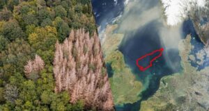 Вчені виявили «загублений світ» на дні Північного моря Вчені-виявили-«загублений-світ»-на-дні-Північного-моря