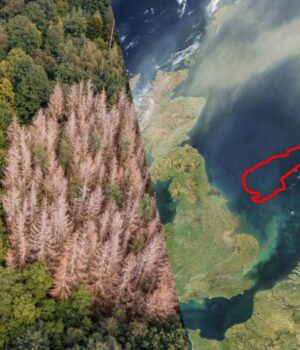 Вчені-виявили-«загублений-світ»-на-дні-Північного-моря