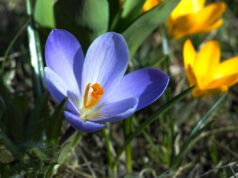 20 березня погода в Україні помітно зміниться 20-березня-погода-в-Україні-помітно-зміниться