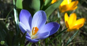 20 березня погода в Україні помітно зміниться 20-березня-погода-в-Україні-помітно-зміниться