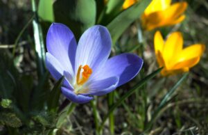 20 березня погода в Україні помітно зміниться 20-березня-погода-в-Україні-помітно-зміниться