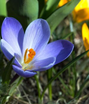 20-березня-погода-в-Україні-помітно-зміниться