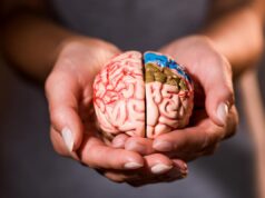 Що їсти для здоров’я мозку: експерти з харчування назвали 7 продуктів Що-їсти-для-здоров’я-мозку:-експерти-з-харчування-назвали-7-продуктів