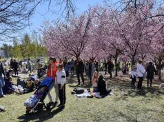 Обрано найщасливішу країну в світі: яке місце в цьому рейтингу посіла Україна Обрано-найщасливішу-країну-в-світі:-яке-місце-в-цьому-рейтингу-посіла-Україна