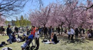 Обрано найщасливішу країну в світі: яке місце в цьому рейтингу посіла Україна Обрано-найщасливішу-країну-в-світі:-яке-місце-в-цьому-рейтингу-посіла-Україна