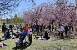 Обрано найщасливішу країну в світі: яке місце в цьому рейтингу посіла Україна Обрано-найщасливішу-країну-в-світі:-яке-місце-в-цьому-рейтингу-посіла-Україна