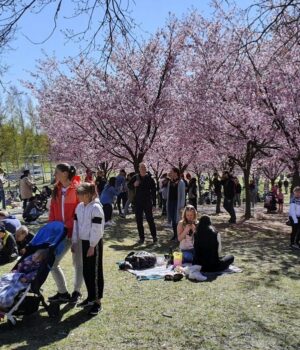 Обрано-найщасливішу-країну-в-світі:-яке-місце-в-цьому-рейтингу-посіла-Україна Обрано-найщасливішу-країну-в-світі:-яке-місце-в-цьому-рейтингу-посіла-Україна