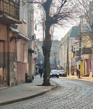 Вулиця-Мялковського:-галерея-міської-інтелігенції-та-будинків-1930-х Вулиця-Мялковського:-галерея-міської-інтелігенції-та-будинків-1930-х