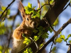 Беріть вихідний: синоптикиня назвала найтепліший день на наступному тижні Беріть-вихідний:-синоптикиня-назвала-найтепліший-день-на-наступному-тижні