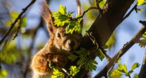 Беріть вихідний: синоптикиня назвала найтепліший день на наступному тижні Беріть-вихідний:-синоптикиня-назвала-найтепліший-день-на-наступному-тижні