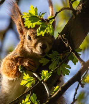 Беріть-вихідний:-синоптикиня-назвала-найтепліший-день-на-наступному-тижні