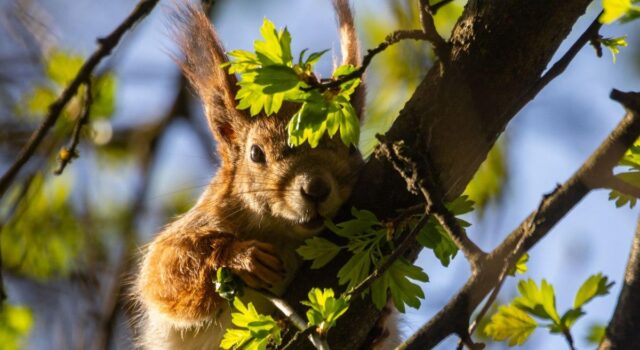 Беріть вихідний: синоптикиня назвала найтепліший день на наступному тижні Беріть-вихідний:-синоптикиня-назвала-найтепліший-день-на-наступному-тижні