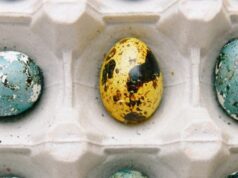 Великодні мармурові яйця: цей спосіб фарбування підкорив Мережу Великодні-мармурові-яйця:-цей-спосіб-фарбування-підкорив-Мережу