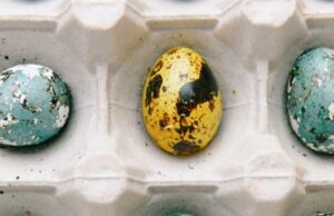 Великодні мармурові яйця: цей спосіб фарбування підкорив Мережу Великодні-мармурові-яйця:-цей-спосіб-фарбування-підкорив-Мережу