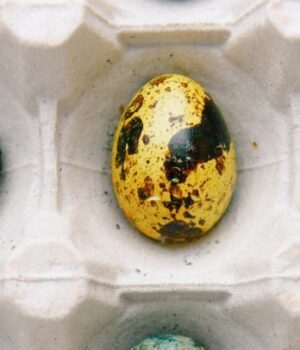 Великодні-мармурові-яйця:-цей-спосіб-фарбування-підкорив-Мережу