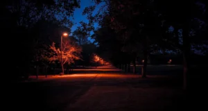 В усіх регіонах України 23 березня запроваджують графіки погодинних відключень світла В усіх регіонах України 23 березня запроваджують графіки погодинних відключень світла