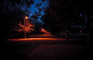 В усіх регіонах України 23 березня запроваджують графіки погодинних відключень світла В усіх регіонах України 23 березня запроваджують графіки погодинних відключень світла