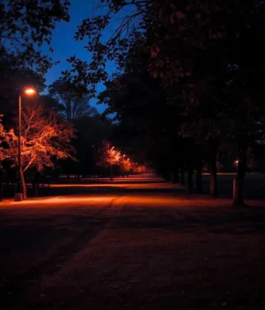 В усіх регіонах України 23 березня запроваджують графіки погодинних відключень світла