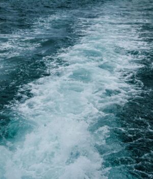 В-Атлантиці-у-воду-закачали-65-тисяч-літрів-розчину-для-поглинання-co2:-що-з-цього.