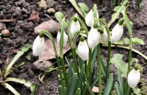 Тепло і майже без опадів: якою буде погода на Волині цього тижня Тепло-і-майже-без-опадів:-якою-буде-погода-на-Волині-цього-тижня