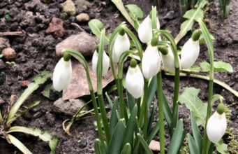 Тепло і майже без опадів: якою буде погода на Волині цього тижня Тепло-і-майже-без-опадів:-якою-буде-погода-на-Волині-цього-тижня