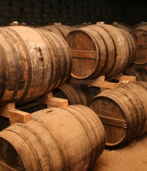 У-Норвегії-знайшли-дубові-бочки-xvii-століття,-які-розкривають-таємниці-будівництва-міста