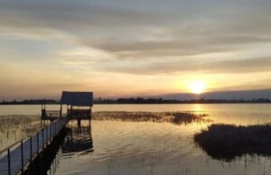 Рокитнівщина: поліський край між природою і суспільними змінами Рокитнівщина:-поліський-край-між-природою-і-суспільними-змінами