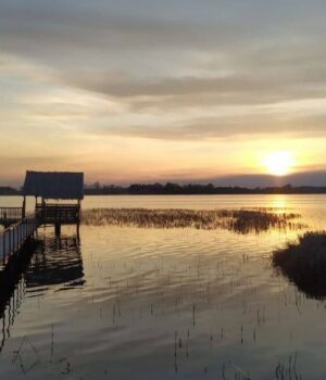 Рокитнівщина:-поліський-край-між-природою-і-суспільними-змінами