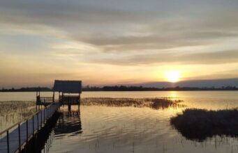 Рокитнівщина: поліський край між природою і суспільними змінами Рокитнівщина:-поліський-край-між-природою-і-суспільними-змінами