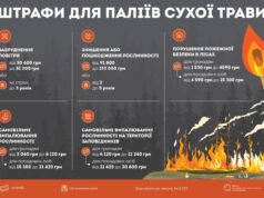 Заборона на спалювання сухої трави: наслідки та відповідальність Спалювати-листя-та-суху-траву-–-заборонено!
