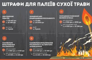Заборона на спалювання сухої трави: наслідки та відповідальність Спалювати-листя-та-суху-траву-–-заборонено!