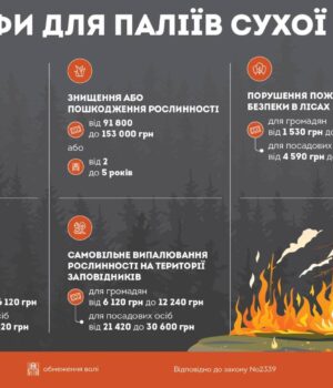 Спалювати-листя-та-суху-траву-–-заборонено!