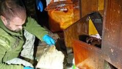 Чоловіка затримали за підозрою у вбивстві дружини та травмуванні дітей у Первомайську Чоловік-надіслав-родині-посилку-з-вибухівкою:-дружина-загинула,-діти-–-поранені