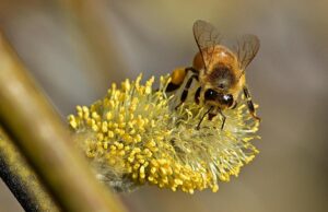 25 березня українців порадує 15-градусне тепло 25-березня-українців-порадує-15-градусне-тепло