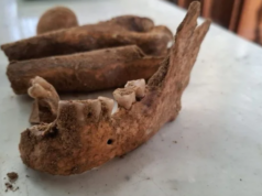 У Нідерландах, імовірно, знайшли скелет мушкетера дʼАртаньяна У-Нідерландах,-імовірно,-знайшли-скелет-мушкетера-дʼАртаньяна