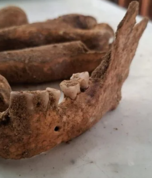 У-Нідерландах,-імовірно,-знайшли-скелет-мушкетера-дʼАртаньяна