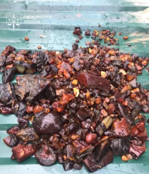 На-Рівненщині-викрили-"тіньового-куратора"-незаконного-видобутку-бурштину-на-понад-350-млн-грн-–-Генпрокурор.