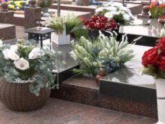Рослини, які не зникають: що відбувається зі штучними квітами з кладовищ Луцька Рослини,-які-не-зникають:-що-відбувається-зі-штучними-квітами-з-кладовищ-Луцька