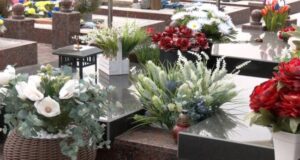 Рослини, які не зникають: що відбувається зі штучними квітами з кладовищ Луцька Рослини,-які-не-зникають:-що-відбувається-зі-штучними-квітами-з-кладовищ-Луцька