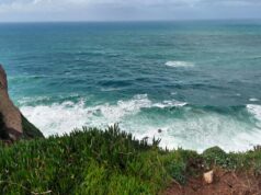 Вперше за 40 років: у Панамській затоці раптово зникло “дихання океану” Вперше-за-40-років:-у-Панамській-затоці-раптово-зникло-“дихання-океану”