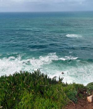 Вперше-за-40-років:-у-Панамській-затоці-раптово-зникло-“дихання-океану”