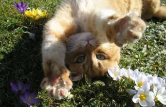 28 березня в Україні до +18°, дощі лише на заході 28 березня в Україні до +18°, дощі лише на заході