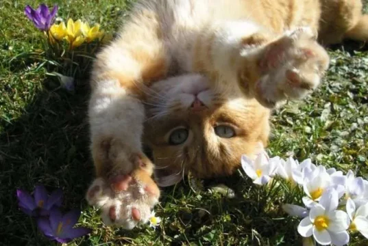 28 березня в Україні до +18°, дощі лише на заході 28 березня в Україні до +18°, дощі лише на заході