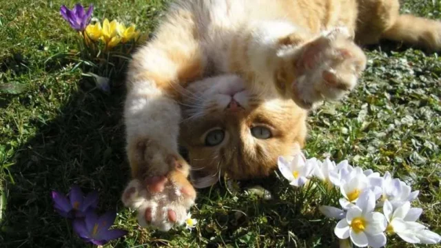 28 березня в Україні до +18°, дощі лише на заході 28 березня в Україні до +18°, дощі лише на заході