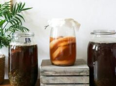 Кімчі, комбуча та смузі можуть шкодити серцю: що кажуть експерти Кімчі,-комбуча-та смузі-можуть-шкодити-серцю:-що кажуть-експерти