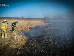 На Київщині загинув літній чоловік, спалюючи суху траву На Київщині загинув літній чоловік, спалюючи суху траву