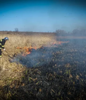 На Київщині загинув літній чоловік, спалюючи суху траву