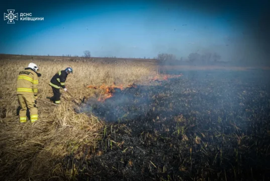 На Київщині загинув літній чоловік, спалюючи суху траву На Київщині загинув літній чоловік, спалюючи суху траву