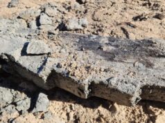 У Нідерландах знайшли фрагмент корабля епохи вікінгів просто посеред каналізації У-Нідерландах-знайшли-фрагмент-корабля-епохи-вікінгів-просто-посеред-каналізації